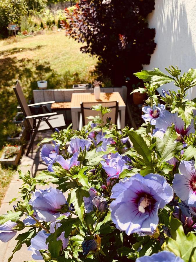 Ferienwohnung „Hygge“ In Liebenburg Exteriör bild